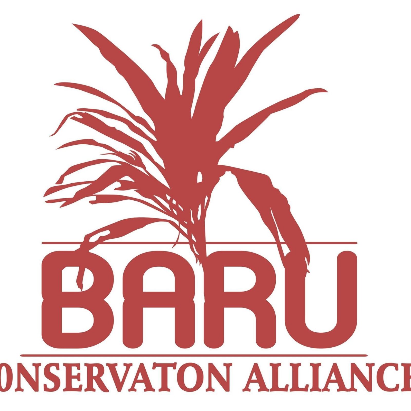 Baru Conservation Alliance